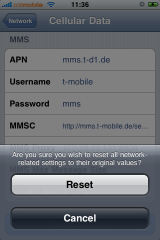 MMS_Prestep1-02-reset.PNG